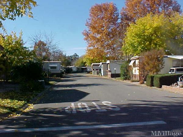 Photo of El Rio Estates, Anderson CA