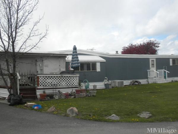 Photo of White Bird Community, Hamilton MT