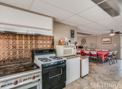 Photo 5 of 19 of park