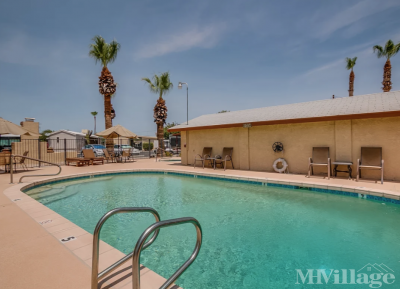 Photo 3 of 19 of park