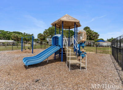 Photo 3 of 15 of park