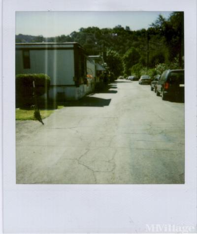 Photo 0 of 11 of park