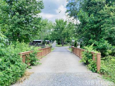 Photo 5 of 15 of park