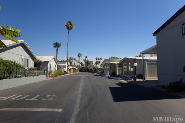 Photo of Palm Canyon Mobile Club, Palm Springs CA