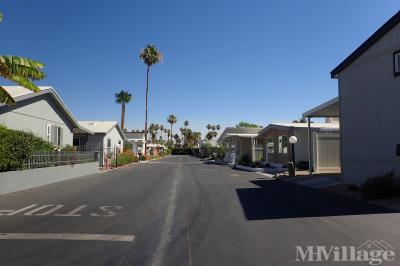 Mobile Home Park in Palm Springs CA