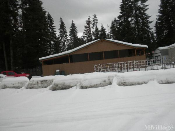 Photo of Bear Creek Village, Bigfork MT