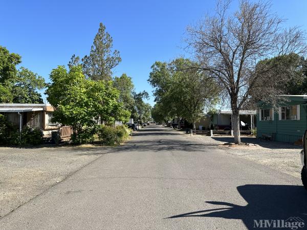 Photo of Antelope Acres Mobile Estates, White City OR