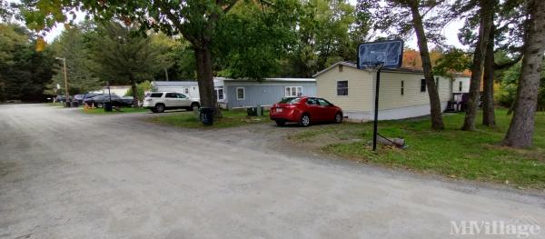 Photo of Edgewood Trailer Court, Clarks Summit PA