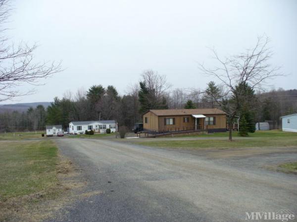 Photo of Belden Park, Harpursville NY