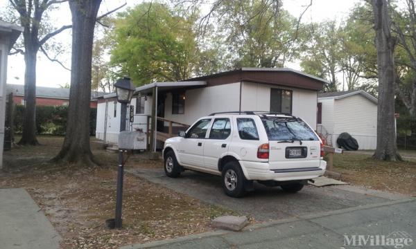 Photo of Lone Star Court, Longview TX