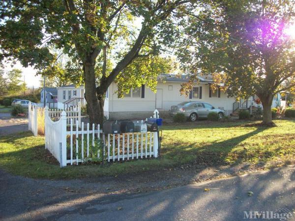 Photo of Mountain View, Lewisburg PA