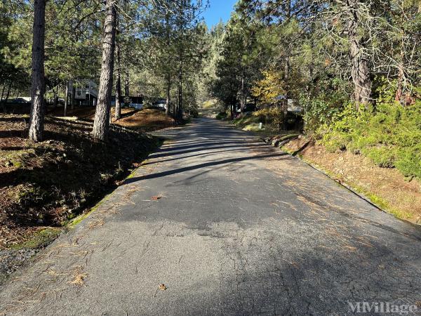 Photo of East Evans Estates, Rogue River OR