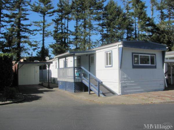 Photo of Pacific Trailer Court, Coos Bay OR