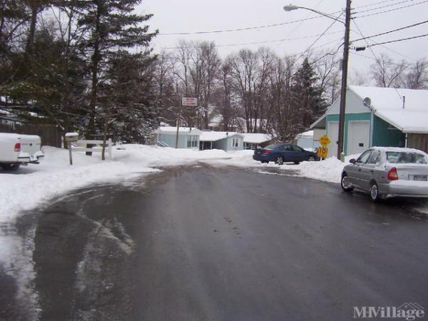 Photo of Brookside Manor, Chadwicks NY