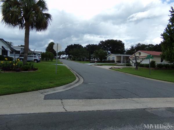 Photo of The Village of Orange Blossom Gardens, Lady Lake FL