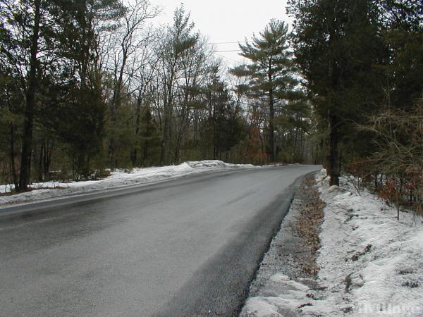 Photo of Sunset Woods, Saugerties NY