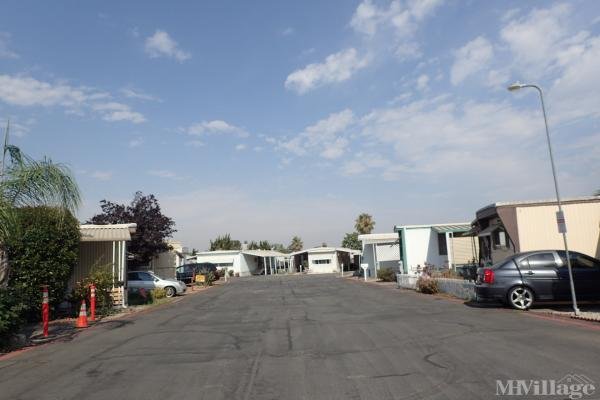 Photo of Patrician Mobile Home Park, Yucaipa CA