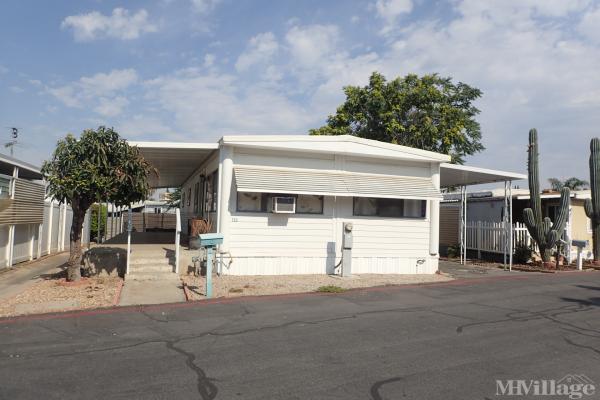 Photo of Patrician Mobile Home Park, Yucaipa CA