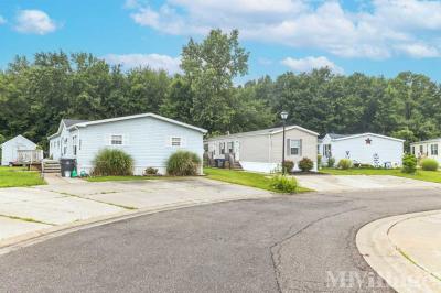 Photo 2 of 8 of park