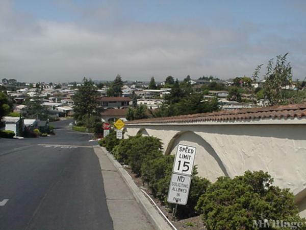 Photo of Portola Heights, Watsonville CA