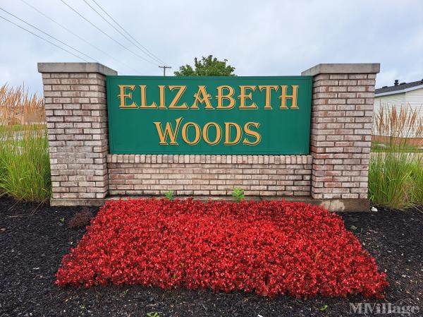 Photo of Elizabeth Woods, Newport MI