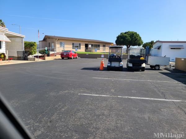 Photo of Orange Tree, Chula Vista CA