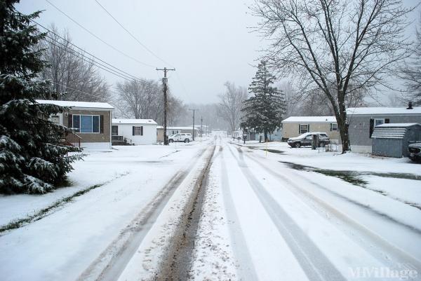 Photo of Circle Courts, East Aurora NY