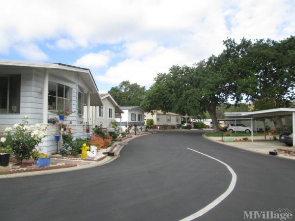 Photo of Thunderbird Oaks, Thousand Oaks CA