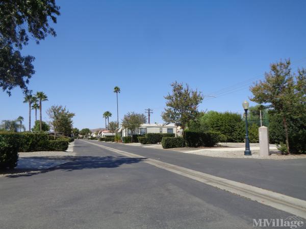 Photo of Golden Village Palms RV Resort, Hemet CA