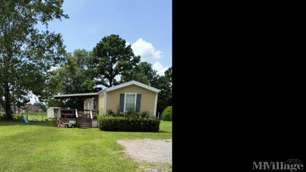 Photo of Port-o-Pines Estates, Wilmington NC