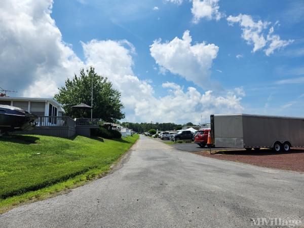 Photo of Buttonwood Beach RV Resort, Earleville MD