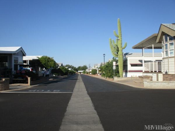 Photo of Carriage Manor Resort, Mesa AZ