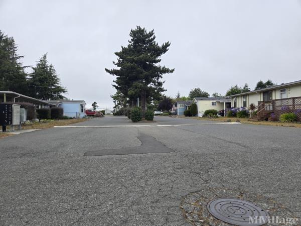 Photo of Shelter Island Mobile Estates, Crescent City CA