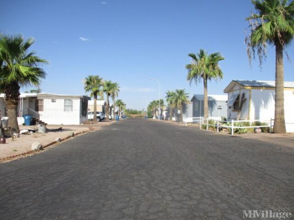 Photo of Acacia Villa Mobile Home Park, Apache Junction AZ