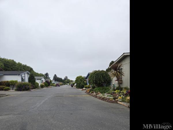 Photo of Driftwood Estates, Brookings OR