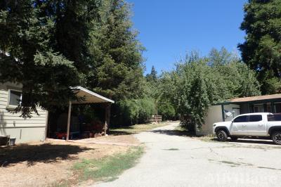 Mobile Home Park in Angelus Oaks CA