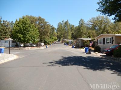 Mobile Home Park in Murphys CA