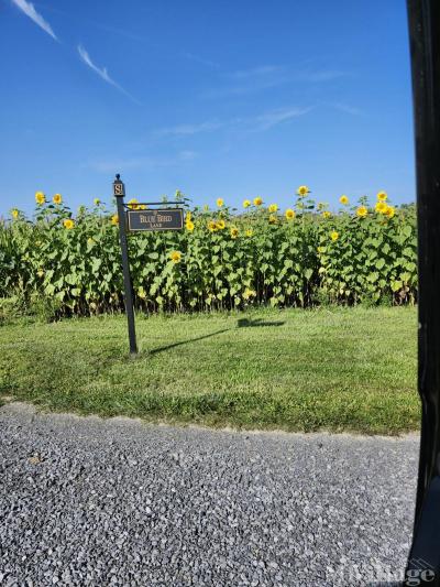 Mobile Home Park in Union Springs NY