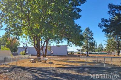 Photo 3 of 17 of park located at 5510 Clark Road Paradise, CA 95969