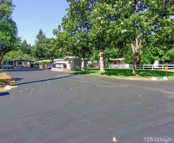 Photo of Chico Mobile Home Park, Chico CA