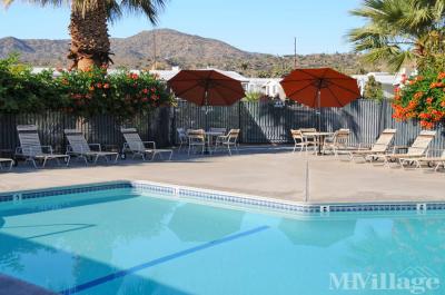 Photo 2 of 15 of park located at 54999 Martinez Trl Yucca Valley, CA 92284