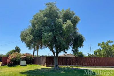 Photo 2 of 13 of park located at 4449 S Carpenter Road Modesto, CA 95358