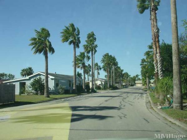 Photo of Winter Haven, Brownsville TX