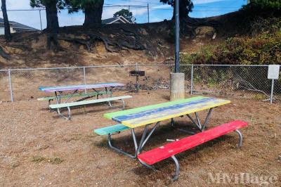 Photo 4 of 10 of park located at 1201 Allard Ave Eureka, CA 95503