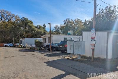 Mobile Home Park in Palermo CA