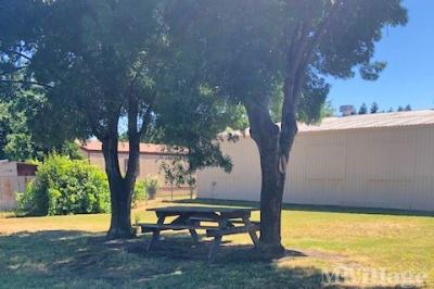 Photo 2 of 11 of park located at 240 Sacramento Ave Hamilton City, CA 95951