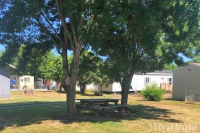 Photo 3 of 11 of park located at 240 Sacramento Ave Hamilton City, CA 95951