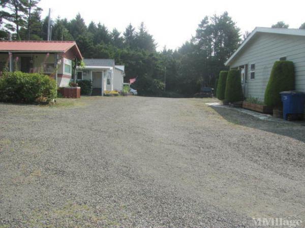 Photo of Ember Forest, Depoe Bay OR