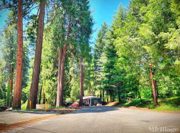 Photo of Pollock Pines Mobile Home Park, Pollock Pines CA