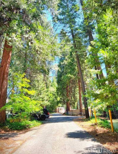 Photo 3 of 4 of park located at 5695 Pony Express Trl Pollock Pines, CA 95726